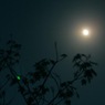 月の陰。