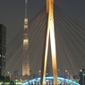 スカイツリーと中央大橋