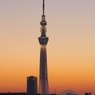 夜景 (60)