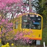 50213131