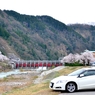 我が郷土に桜あり１