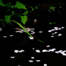 15.