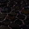 18.