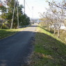 京街道近くの農道