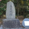 美豆（みづ）城址