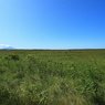 サロベツ原野7