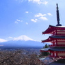 富士山と五重塔と桜
