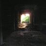 P1010002