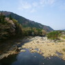 渡良瀬川の風景2