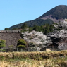 タイムスリップ「山里の春」