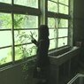 理科室・窓辺