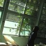 調理室・窓辺