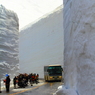 雪の壁をぬって