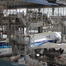 ANA B787-8 運航再開に向けて
