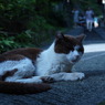 温泉街にて