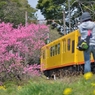 52713202