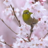 出会えたね♪