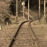 52933219