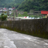 猫の住む町