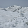 アルプスの雪だるま