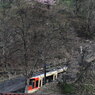 立山駅は春景色