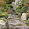 昭和の名園・名河とさくら