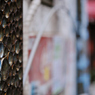 nakano-today 7