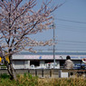 おばあ
