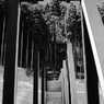 Black and White　～Murou Art Forest～