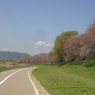 背割堤３