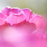 COLORS in HEAVEN 3