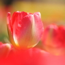 COLORS in HEAVEN 6