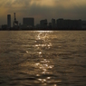 SDIM0393