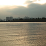 SDIM0426