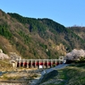 庄川・桜景色２