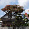 鯉のぼりを支えるお役目