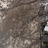 阿佐ヶ谷住宅
