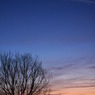 夕暮れのシルエット