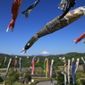 青空の鯉のぼり