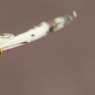 IMG_2878tr