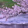 Like the flow of the river