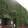 青山ビル