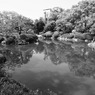 お池