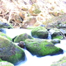 象ヶ沢湧水噴水