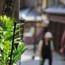 祇園の街並み