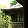 2013年4月28日_新宿御苑