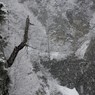 湖畔に春の吹雪