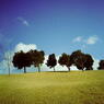 LOMO日和