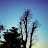 LOMO日和