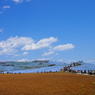 ひたち海浜公園